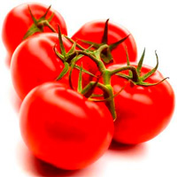 Lycopene